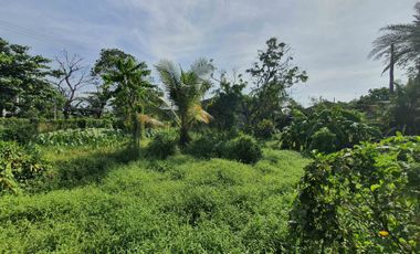 Residential Lot with old house for sale at Noveleta Cavite near main hiway