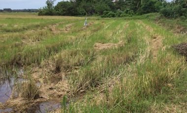 2,000 sq.m. Lot for sale in Cubay-Napultan, Sibalom, Antique