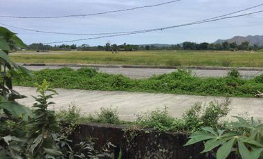 2,000 sq.m. Lot for sale in Cubay-Napultan, Sibalom, Antique