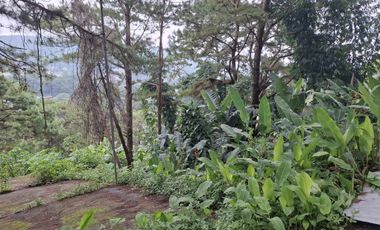 Vacant lots for sale near SLU Maryheights Bakakeng Campus