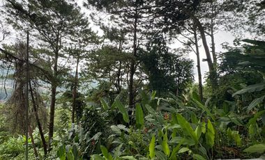 Vacant lots for sale near SLU Maryheights Bakakeng Campus
