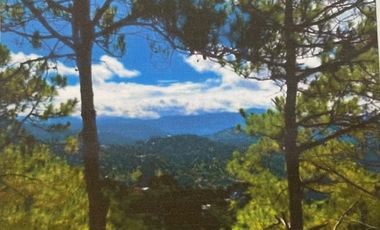 For Sale: Baguio City Entire Residential Subdivided RawLand for Sale