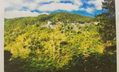 For Sale: Baguio City Entire Residential Subdivided RawLand for Sale