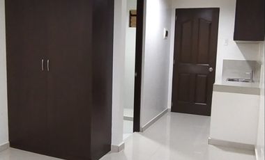 Brand New Apartment in Mandaluyong along Barangka for Rent
