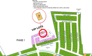 Alabang West Special VIP Lot For Assume Balance Residential Lot For Sale