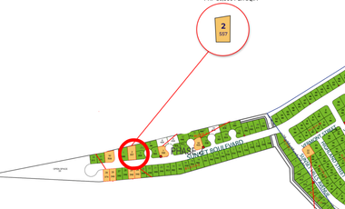 Good Deal! Alabang West Big Cut Residential Lot For Sale Daang Hari Las Pinas