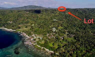 Beautiful Overlooking Mini Farm Lot, Samal Island