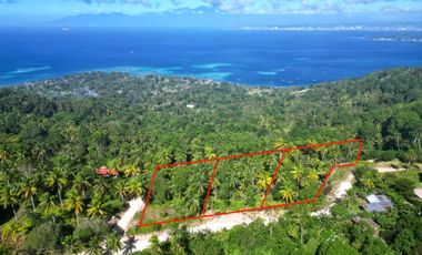 Beautiful Overlooking Mini Farm Lot, Samal Island