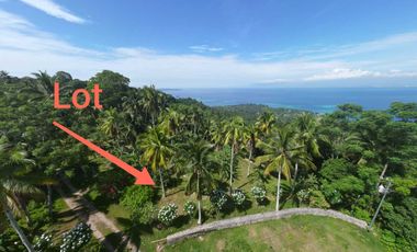 Beautiful Overlooking Mini Farm Lot, Samal Island