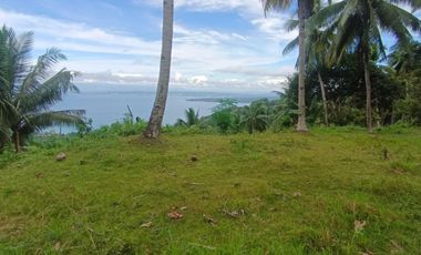 Beautiful Overlooking Mini Farm Lot, Samal Island