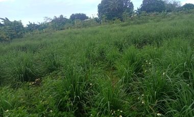 Vacant Lot for Rent in Bacolod City