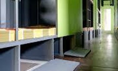 Male Bedspace For Rent in Mabini-J. Rizal, Mandaluyong City, Metro Manila