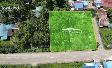 1,670 sqm forsale near in Sinagtala Resort, Orani. Bataan