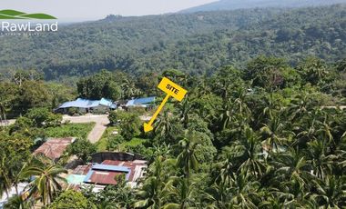 1,670 sqm forsale near in Sinagtala Resort, Orani. Bataan
