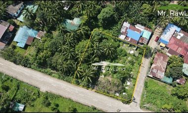 1,670 sqm forsale near in Sinagtala Resort, Orani. Bataan