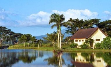Lots For Sale in Montelago, San Pablo Laguna & Hacienda Escudero, Tiaong Quezon