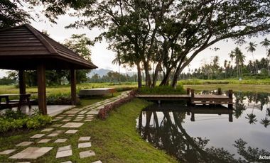 Lots For Sale in Montelago, San Pablo Laguna & Hacienda Escudero, Tiaong Quezon