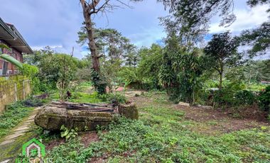 Flat Residential Land for sale in Baguio