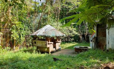 1,127 sqm Residential Lot for Sale in Binangonan, Rizal