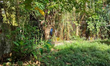 1,127 sqm Residential Lot for Sale in Binangonan, Rizal