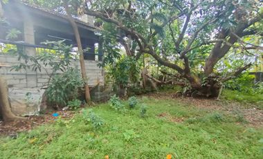 1,127 sqm Residential Lot for Sale in Binangonan, Rizal