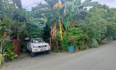 1,127 sqm Residential Lot for Sale in Binangonan, Rizal