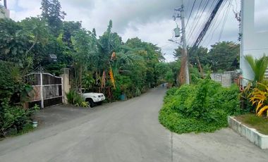1,127 sqm Residential Lot for Sale in Binangonan, Rizal