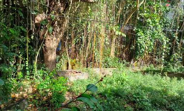 1,127 sqm Residential Lot for Sale in Binangonan, Rizal