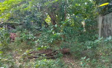 1,127 sqm Residential Lot for Sale in Binangonan, Rizal