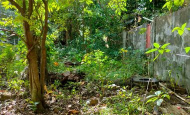 1,127 sqm Residential Lot for Sale in Binangonan, Rizal