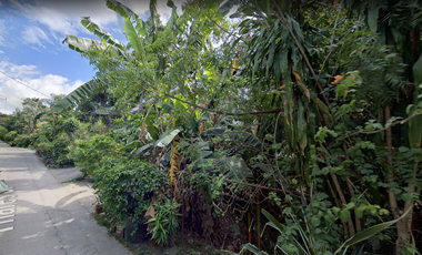 1,127 sqm Residential Lot for Sale in Binangonan, Rizal