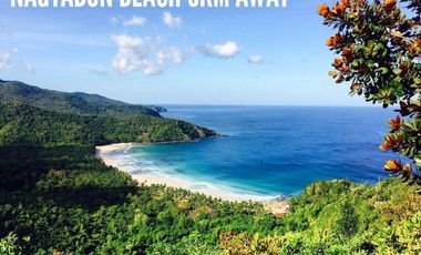 Resort Studio Apartment With Pool Puerto Princesa Palawan Near Beach