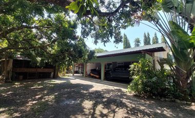 For Sale Homestead/Farm House w/ Guest House few steps to beach in Zambales