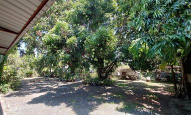 For Sale Homestead/Farm House w/ Guest House few steps to beach in Zambales