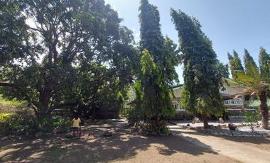 For Sale Homestead/Farm House w/ Guest House few steps to beach in Zambales