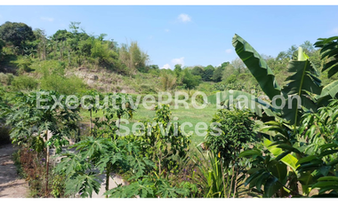 Residential Plot for sale in Tarlac, Bamban