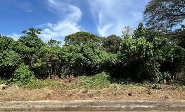 107 sqm lot available at West Palms Subdivision in Puerto Princesa Palawan