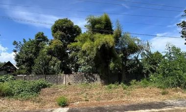 107 sqm lot available at West Palms Subdivision in Puerto Princesa Palawan