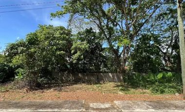 107 sqm lot available at West Palms Subdivision in Puerto Princesa Palawan