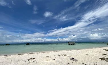 Beach resort type property for sale in Sandingan Loon Bohol Lot area 4324 sqm