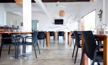 Beach resort type property for sale in Sandingan Loon Bohol Lot area 4324 sqm