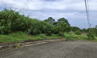 585 SQUARE METERS LOT FOR SALE IN PINEWOODS SUBDIVISION