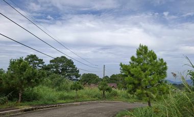 585 SQUARE METERS LOT FOR SALE IN PINEWOODS SUBDIVISION