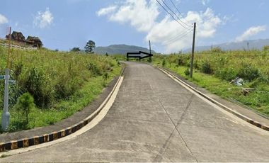 585 SQUARE METERS LOT FOR SALE IN PINEWOODS SUBDIVISION