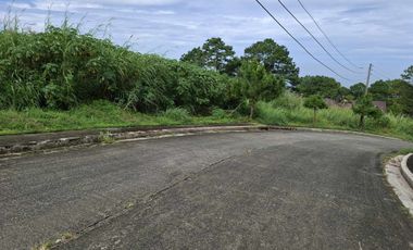 585 SQUARE METERS LOT FOR SALE IN PINEWOODS SUBDIVISION
