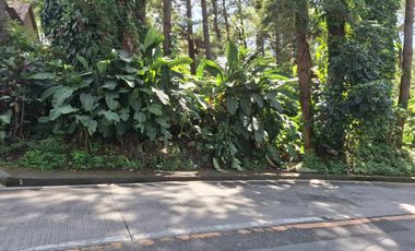 768 Square Meters in Amparo Heights, Camp 7, Baguio City