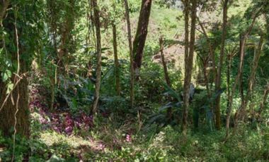 768 Square Meters in Amparo Heights, Camp 7, Baguio City