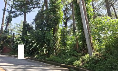 768 Square Meters in Amparo Heights, Camp 7, Baguio City
