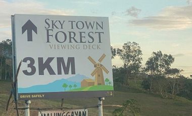 Sky Town Forest Residential lot
