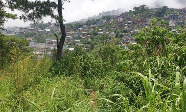 1,000 sqm Residential Lot for Sale in Baguio City, Benguet